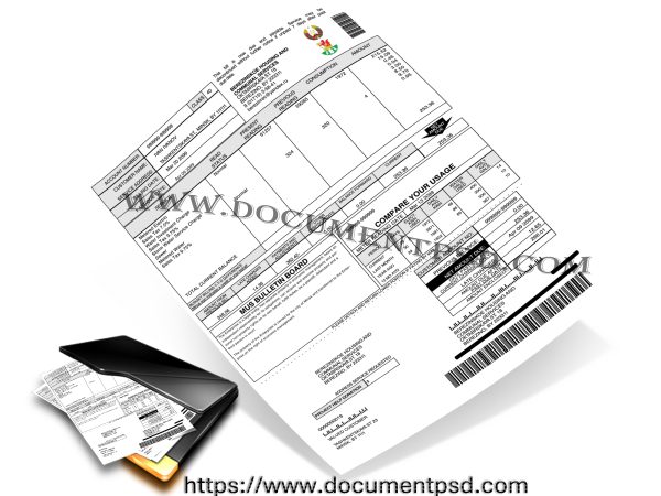 combined utility statement Belarus PSD Template
