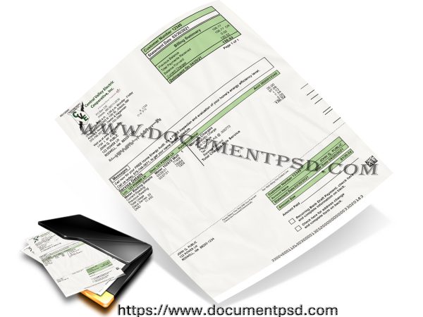 Central Valley Electric Cooperative, Inc. Statement. New Mexico PSD Template